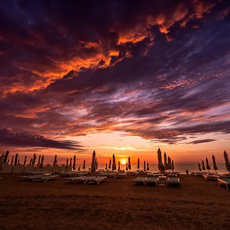 Alcor 4* 마마이아